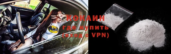 шишки Костерёво