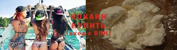 шишки Костерёво