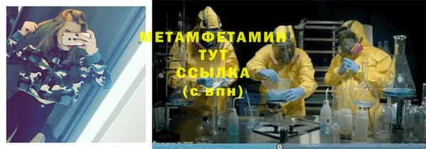 шишки Костерёво