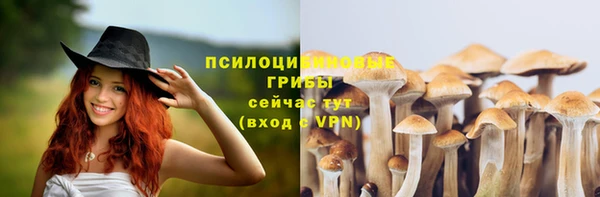 герыч Корсаков