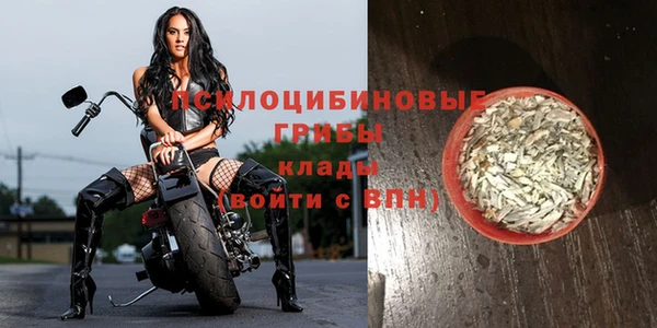 герыч Коряжма