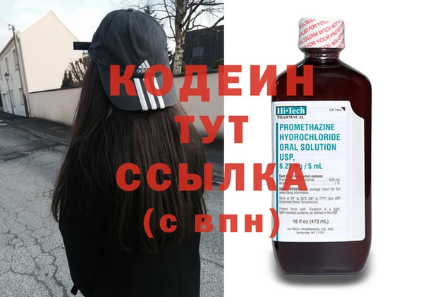 шишки Костерёво
