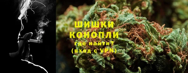 шишки Костерёво