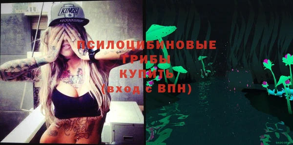 прущие крисы Козловка