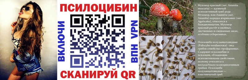 Псилоцибиновые грибы мицелий  Купить где  Заволжье 